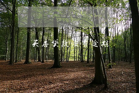 买房贷款没有逾期 买房贷款没有逾期