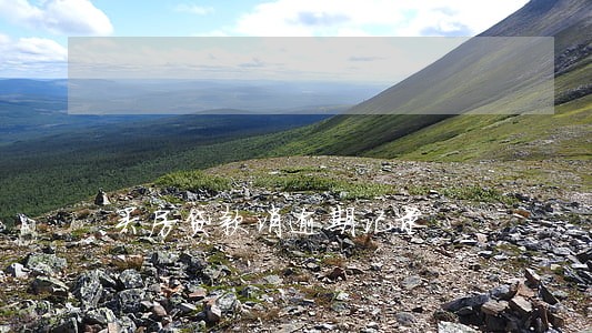 买房贷款消逾期记录 买房贷款消逾期记录