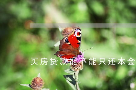 买房贷款能不能只还本金 买房贷款能不能只还本金