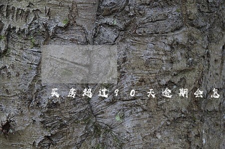 买房超过90天逾期会怎么样 买房超过90天逾期会怎么样