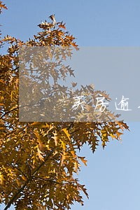 买房逾期15次还能买房吗 买房逾期15次还能买房吗