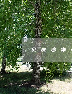 买房逾期4个月违约金 买房逾期4个月违约金