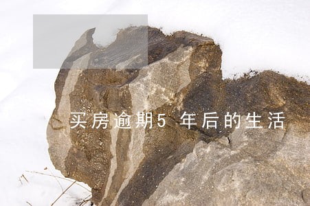 买房逾期5年后的生活