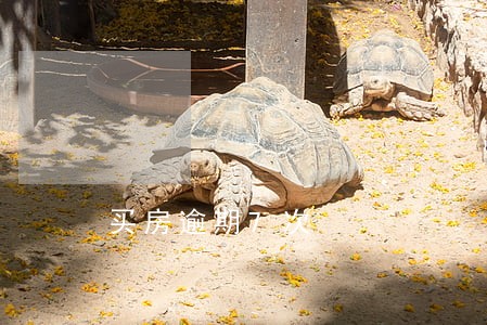 买房逾期7次 买房逾期7次