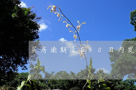 买房逾期没在30日内发催告函 买房逾期没在30日内发催告函