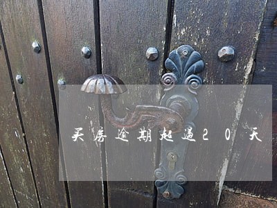 买房逾期超过20天 买房逾期超过20天