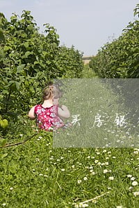 买房银行有逾期怎么办 买房银行有逾期怎么办