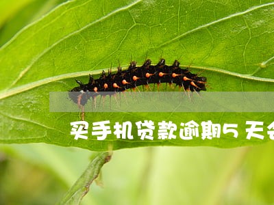 买手机贷款逾期5天会怎么样 买手机贷款逾期5天会怎么样