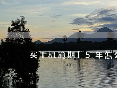 买手机逾期15年怎么办