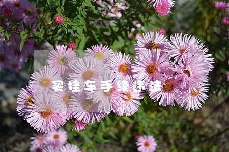 买挂车手续违法 买挂车手续违法
