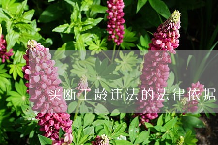 买断工龄违法的法律依据 买断工龄违法的法律依据