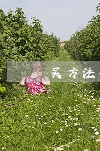 买方法律顾问的台词 买方法律顾问的台词