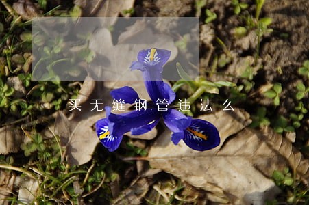 买无缝钢管违法么 买无缝钢管违法么