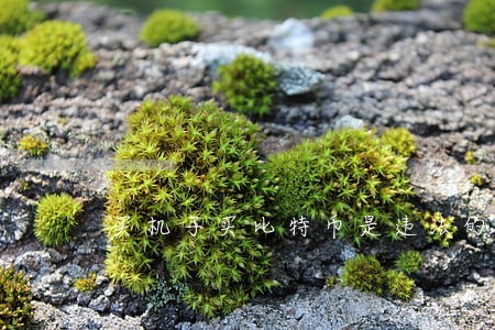 买机子买比特币是违法的吗