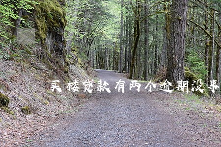 买楼贷款有两个逾期没事吧 买楼贷款有两个逾期没事吧