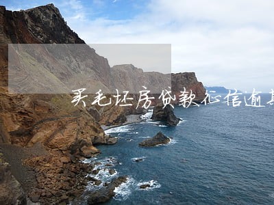 买毛坯房贷款征信逾期怎么办 买毛坯房贷款征信逾期怎么办