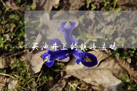 买油井上的铁违法吗