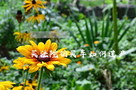 买法院拍买车如何过户 买法院拍买车如何过户