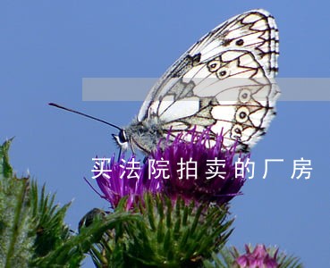 买法院拍卖的厂房 买法院拍卖的厂房