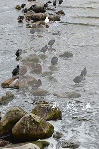 买烟违法判刑多少年 买烟违法判刑多少年