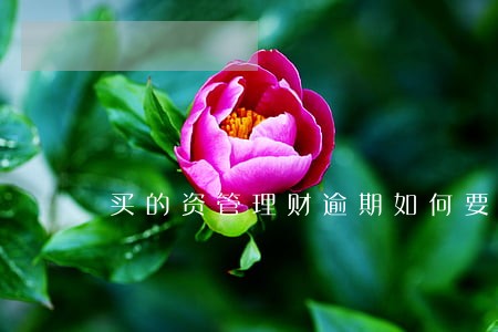 买的资管理财逾期如何要回钱 买的资管理财逾期如何要回钱