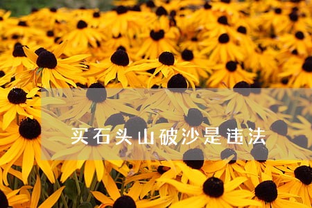 买石头山破沙是违法 买石头山破沙是违法