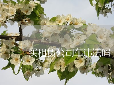 买租赁公司车违法吗 买租赁公司车违法吗