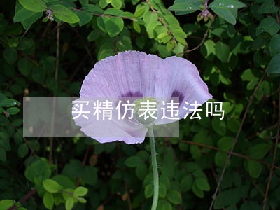 买精仿表违法吗 买精仿表违法吗