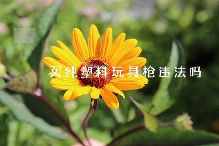 买纯塑料玩具枪违法吗 买纯塑料玩具枪违法吗
