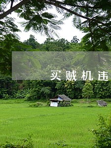 买贼机违法麽
