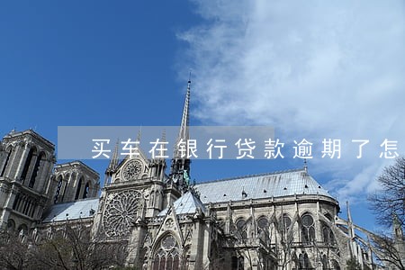 买车在银行贷款逾期了怎么办 买车在银行贷款逾期了怎么办