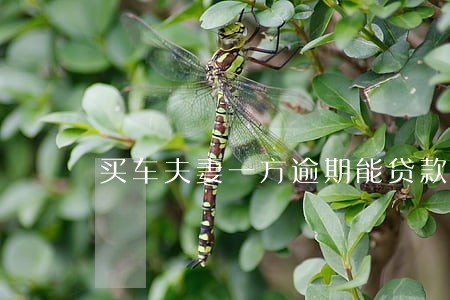 买车夫妻一方逾期能贷款吗 买车夫妻一方逾期能贷款吗