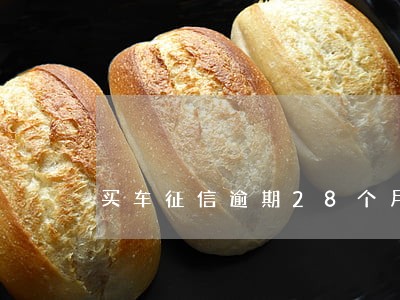 买车征信逾期28个月能下贷款吗 买车征信逾期28个月能下贷款吗