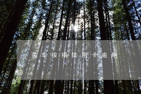 买车按揭信用卡逾期 买车按揭信用卡逾期