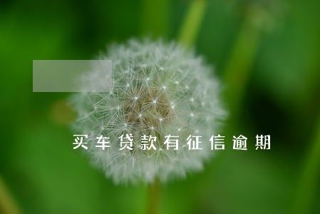 买车贷款有征信逾期 买车贷款有征信逾期