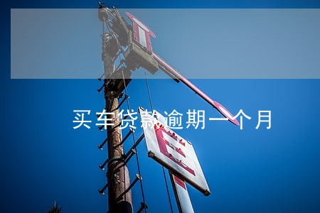 买车贷款逾期一个月 买车贷款逾期一个月