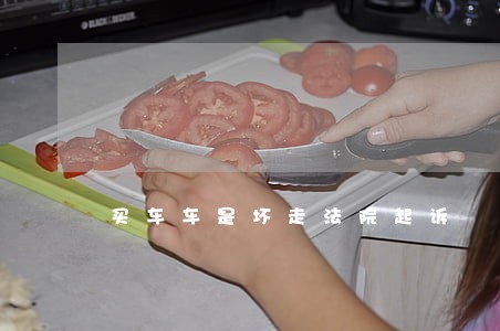 买车车是坏走法院起诉 买车车是坏走法院起诉