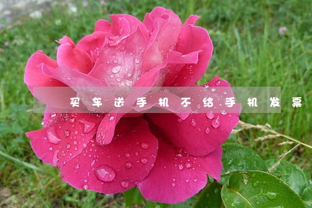 买车送手机不给手机发票违法吗
