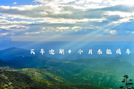 买车逾期4个月未能提车 买车逾期4个月未能提车