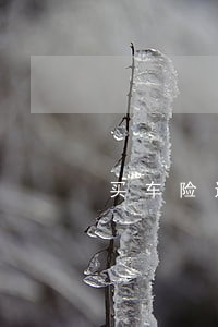 买车险返现违法 买车险返现违法