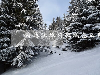 买违法软件被骗怎么解决