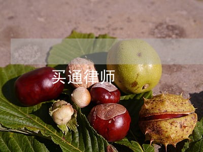 买通律师 买通律师