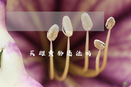 买雄黄粉违法吗 买雄黄粉违法吗
