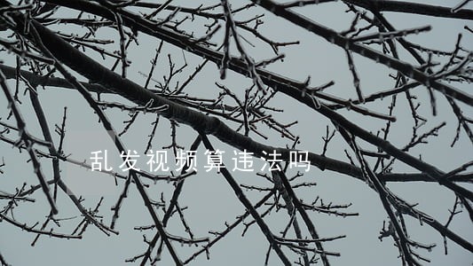 乱发视频算违法吗
