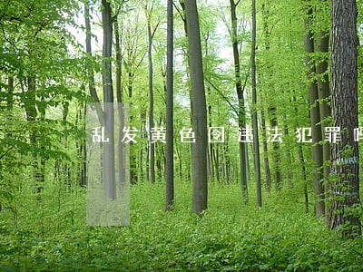 乱发黄色囹违法犯罪吗 乱发黄色囹违法犯罪吗