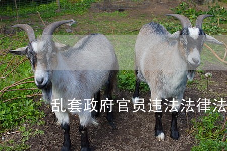 乱套政府官员违法法律法规 乱套政府官员违法法律法规