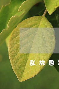 乱放国歌是违法还是犯法