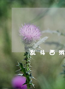 乱斗西游2平民法师 乱斗西游2平民法师