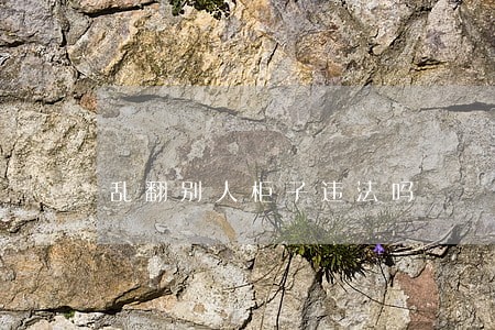 乱翻别人柜子违法吗