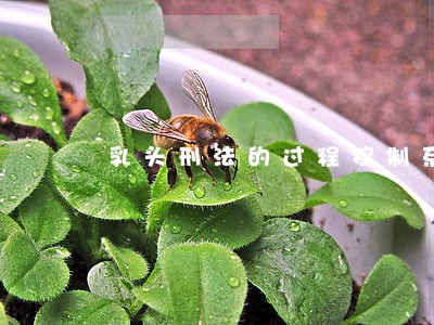 乳头刑法的过程控制系统 乳头刑法的过程控制系统